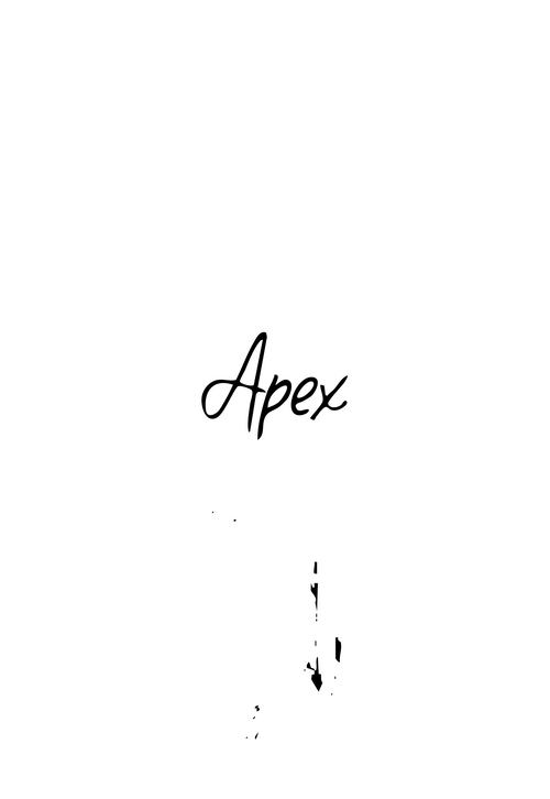 Apex 9 Active